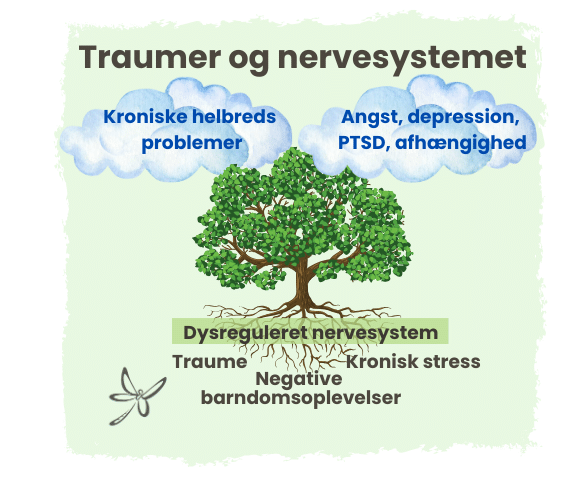 Traumer og nervesystemet